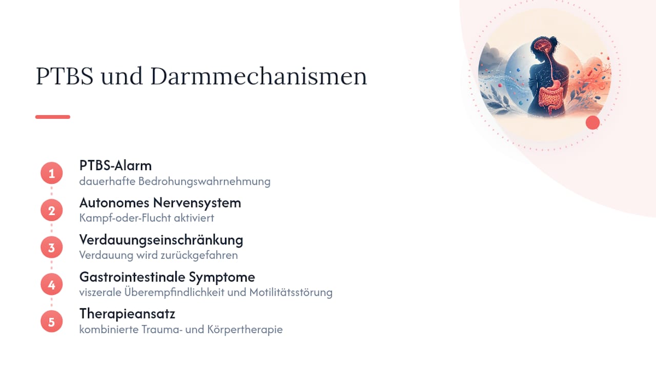 PTBS und Verdauungsbeschwerden: Ein unterschätzter Zusammenhang — overview diagram