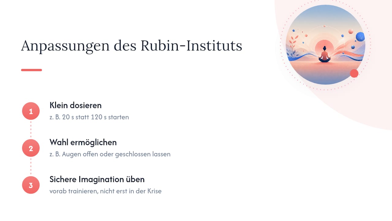 Die Perspektive des Rubin Instituts: Traumasensible Anpassung — overview diagram