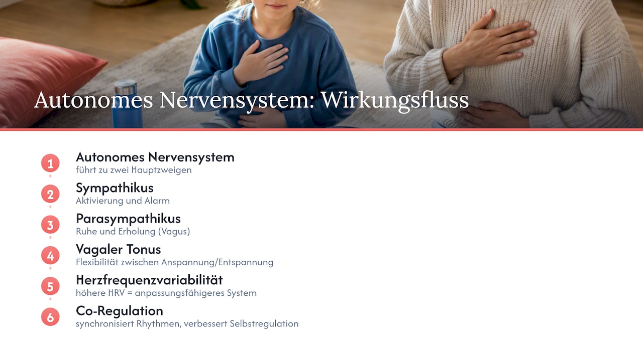 Zusammenhang zwischen Sympathikus, Vagus und der Variabilität der Herzfrequenz