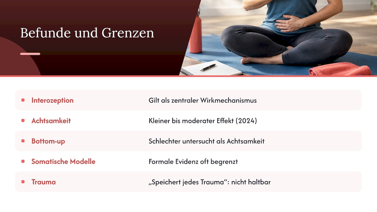 Wissenschaftliche Befunde und Grenzen von Embodiment im Coaching — overview diagram
