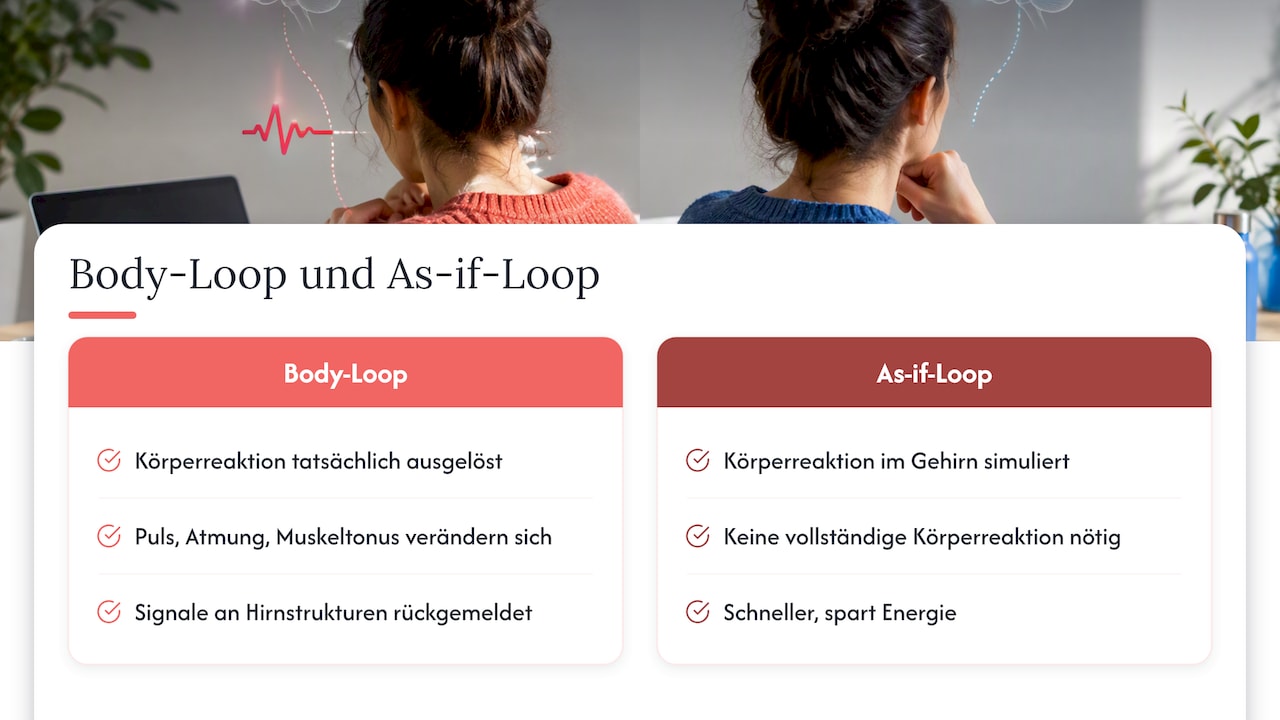 Vergleich von Körperreaktion und Gehirnsimulation